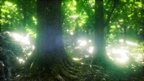 Malerischer-Wald-Aus-Frischen-Grünen-Laubbäumen,-Eingerahmt-Von-Blättern